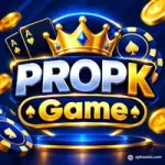 PROPK Game Pakistan Review