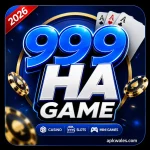 88DD Game APK download in Pakistan