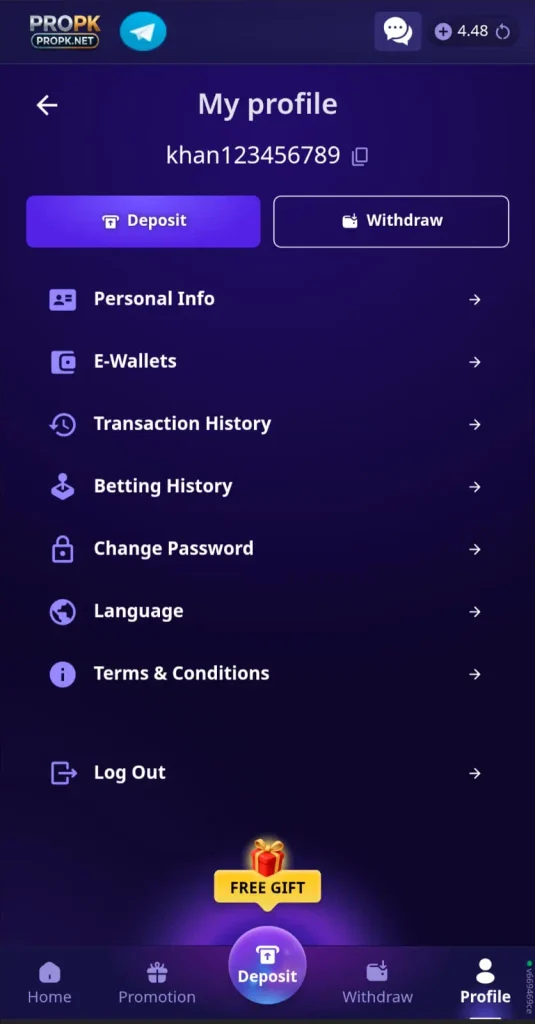 PROPK Game account dashboard with balance and wallet options for Pakistani users-APKWales